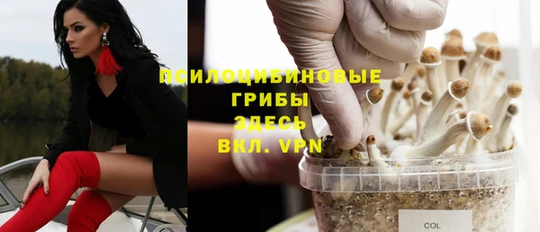 метамфетамин Алексеевка